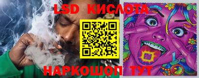 ГАЛЛЮЦИНОГЕННЫЕ ГРИБЫ Кунгур
